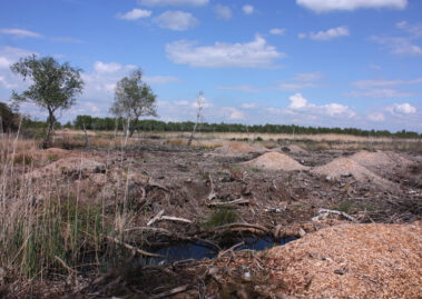 View out over the moors at Thorne