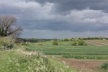 Field Strips on the Isle of Axholme