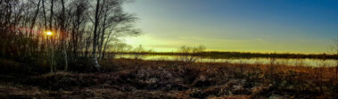 View over the ponds at Crowle Moors