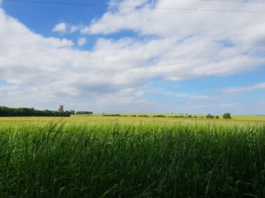View towards Belton Water Tower in Epworth