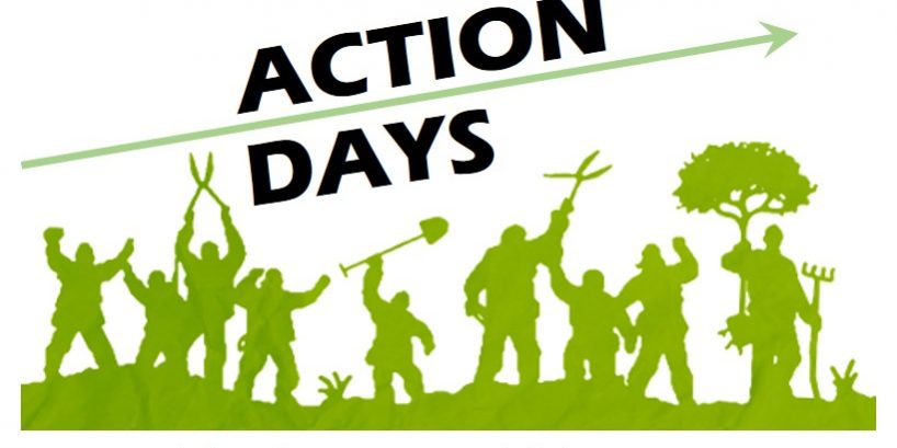 2019 Action Day