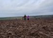 Field walking on the Isle of Axholme with Volunteers - January 2018