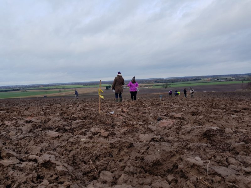 Field walking on the Isle of Axholme with Volunteers - January 2018