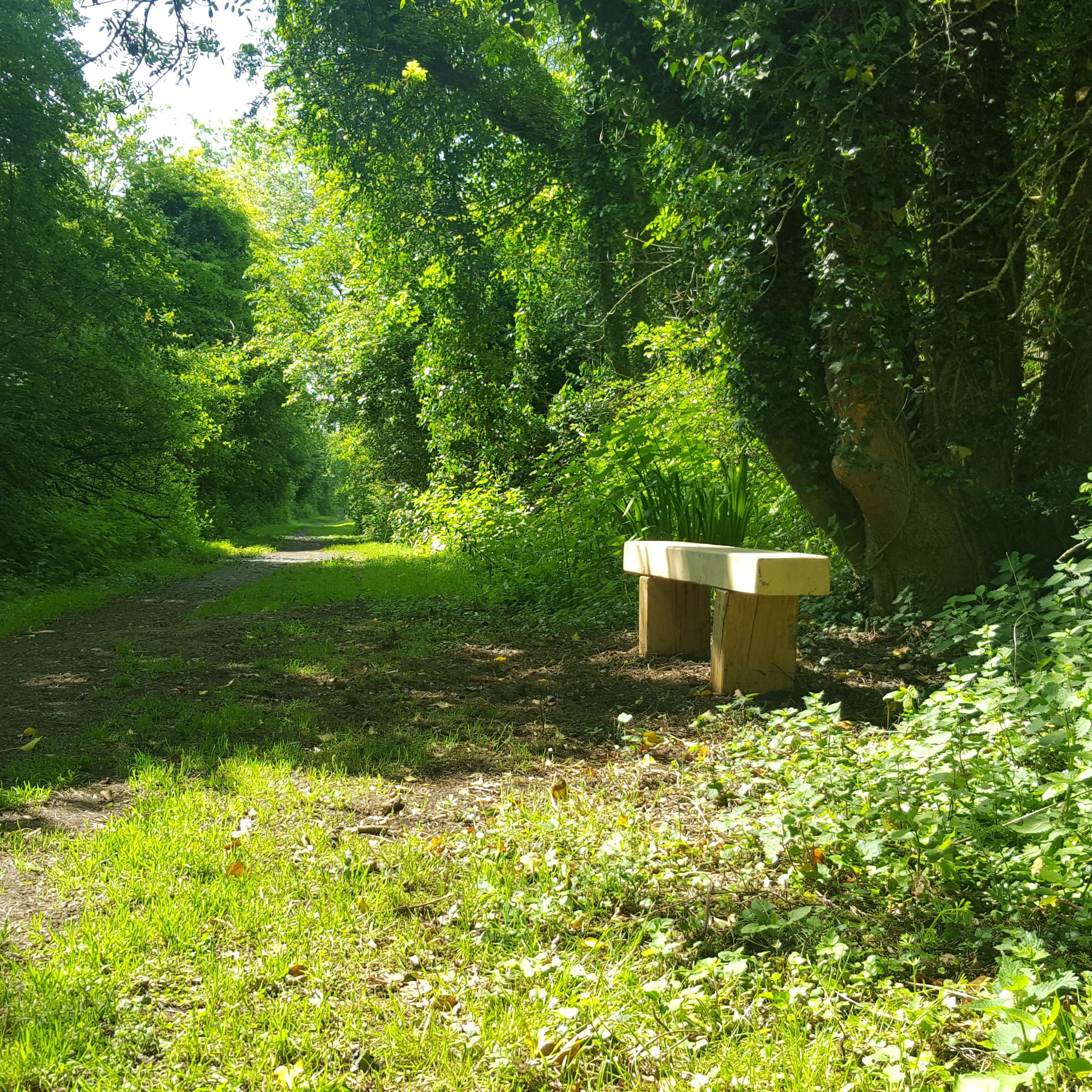 Part of the Isle of Axholme Greenway - Haxey
