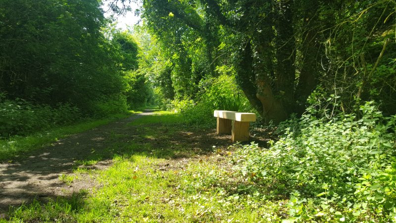 Part of the Isle of Axholme Greenway - Haxey
