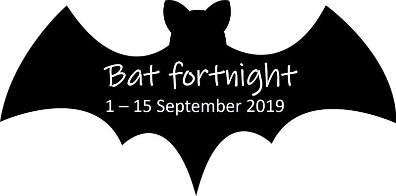 Bat Fortnight 2019