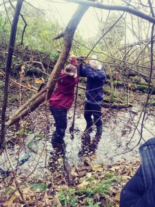 Volunteers surveying for Retting pits