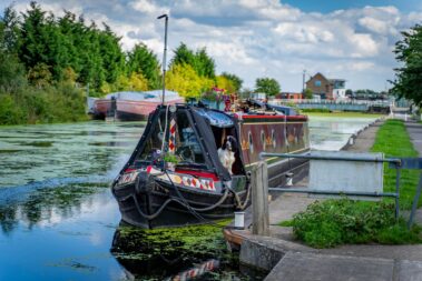Dog on a canal boat at Keadby canal