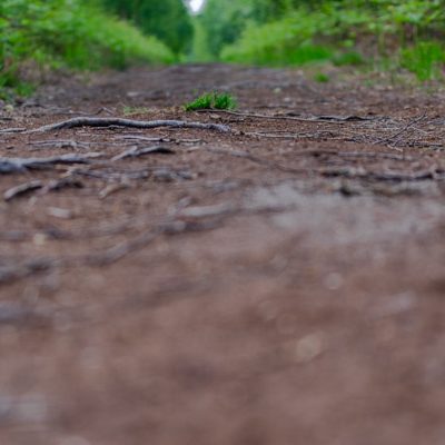 A section of peatland track