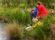 Pond dipping with school children - children having a go