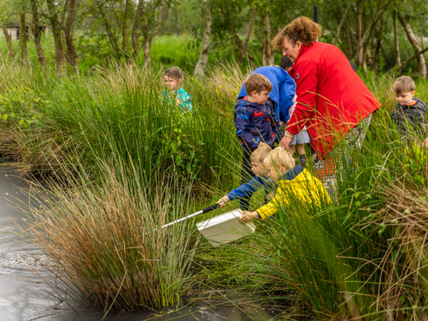 Pond dipping with school children - children having a go