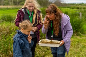 Pond dipping with school children - explaining pond life found
