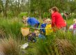 Pond dipping with school children - teacher