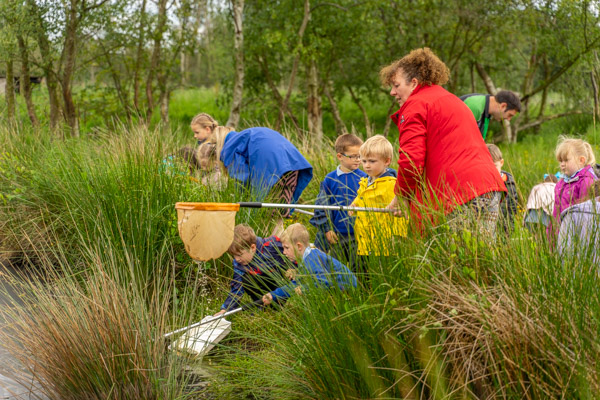 Pond dipping with school children - teacher