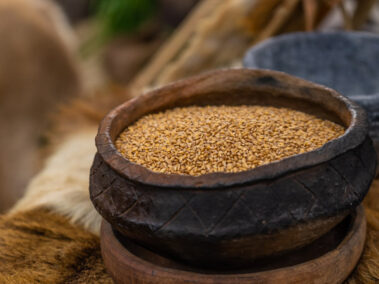 A pot of grain - part of the display for the Neolithic trackway event