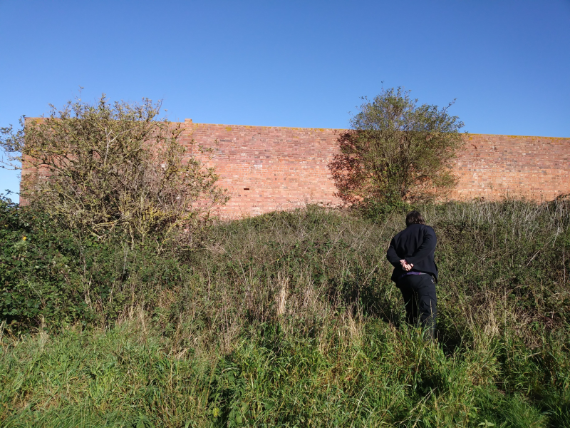 Volunteers surveying for the Lost Landscapes of Heroes project