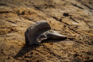 Low Burnham Dig - Find