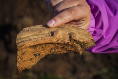 Low Burnham Dig - Find
