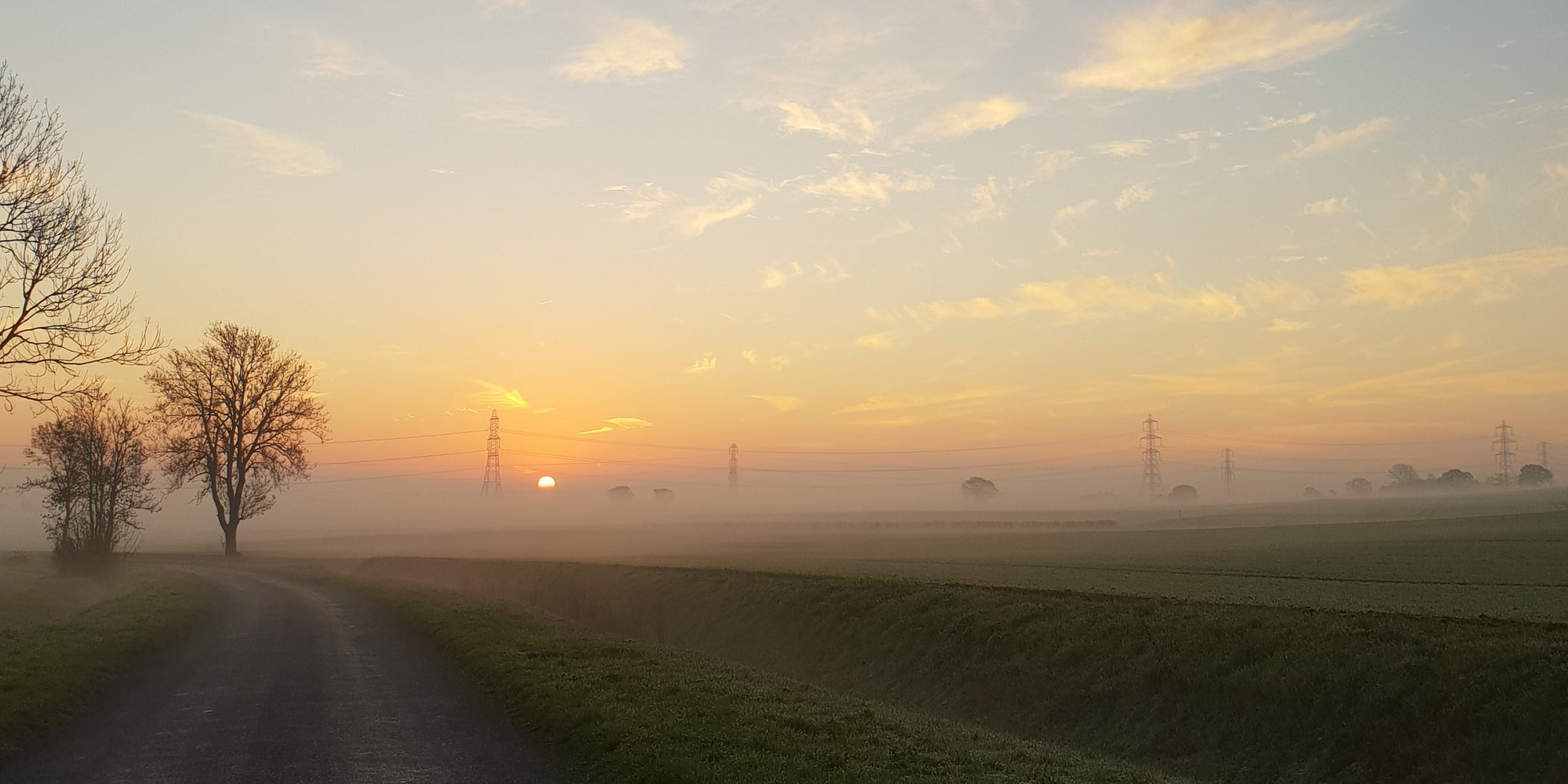 20181118_074109 Landscape