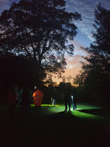 Bat Walk Epworth September 2019