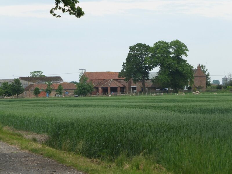 Isle landscape