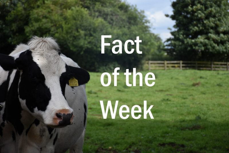 Fact of the Week